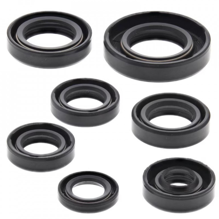 Engine Oil Seal Kit WINDEROSA 822105