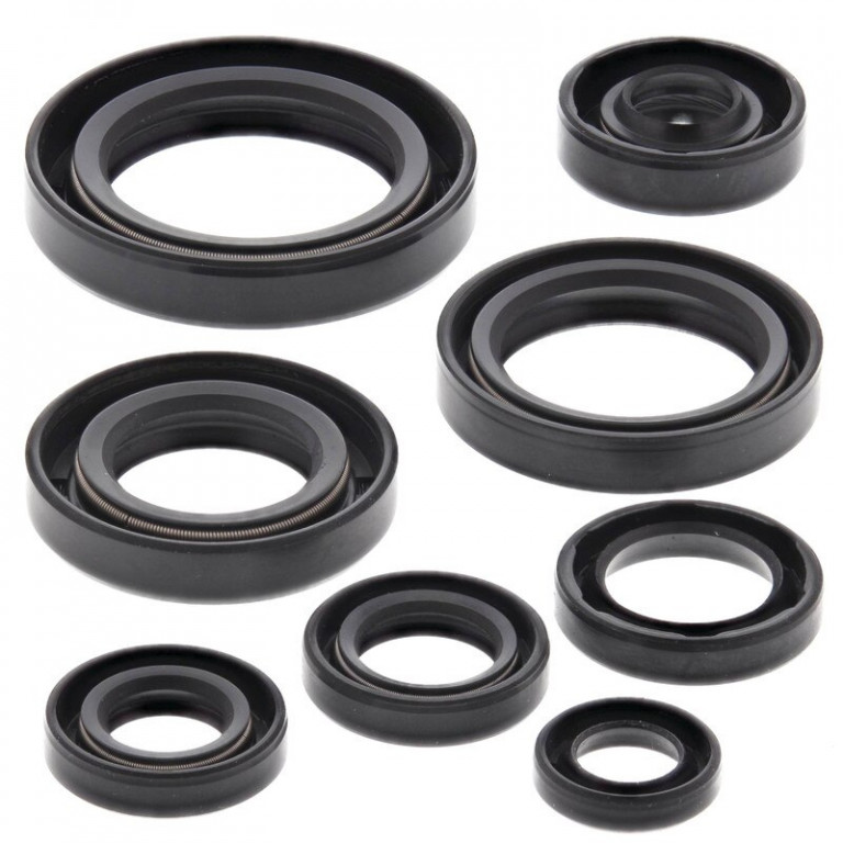 Engine Oil Seal Kit WINDEROSA 822106