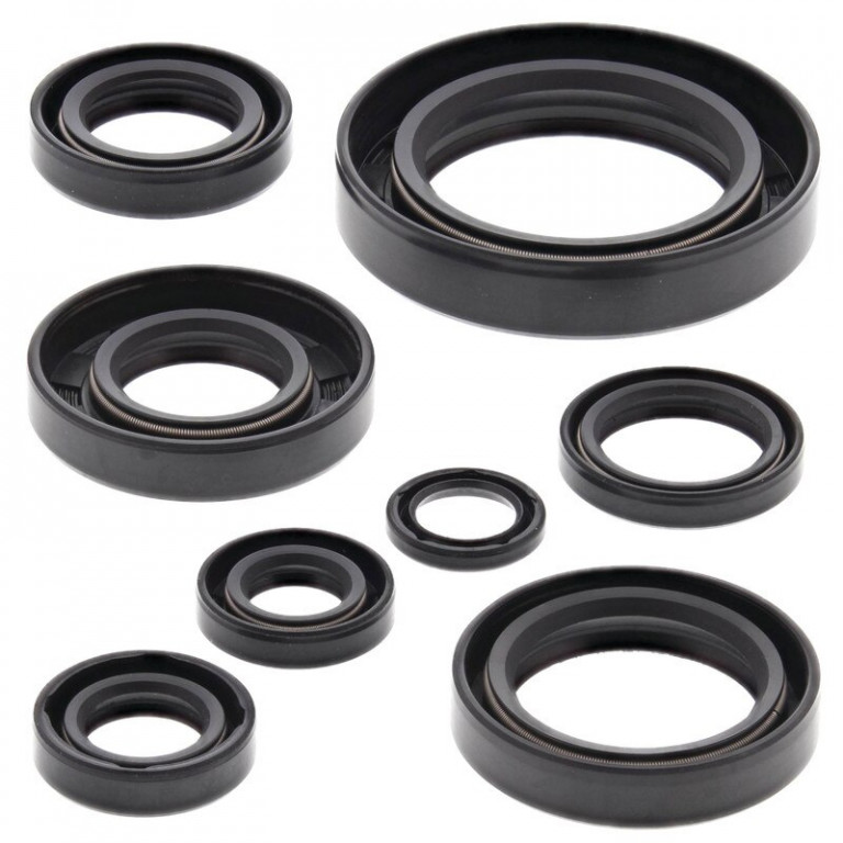 Engine Oil Seal Kit WINDEROSA 822108