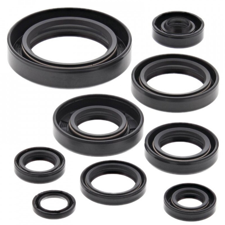 Engine Oil Seal Kit WINDEROSA 822109