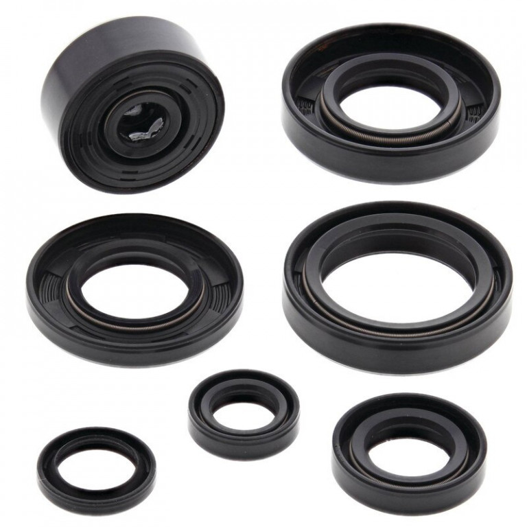 Engine Oil Seal Kit WINDEROSA 822112