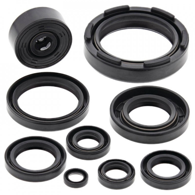 Engine Oil Seal Kit WINDEROSA 822117
