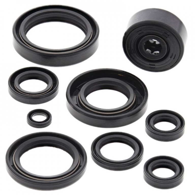 Engine Oil Seal Kit WINDEROSA 822119