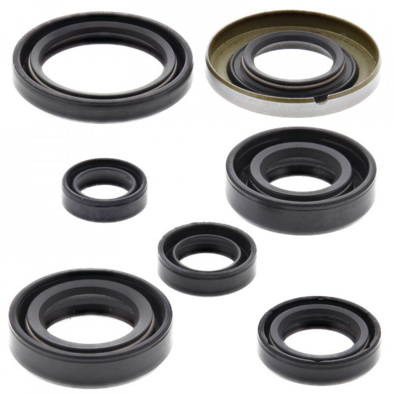 Engine Oil Seal Kit WINDEROSA 822160