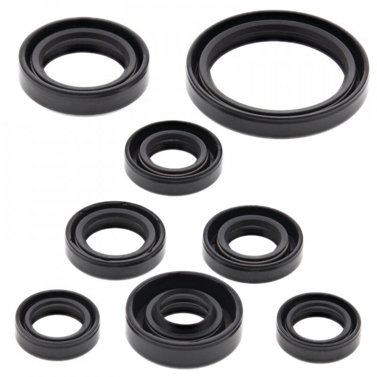 Engine Oil Seal Kit WINDEROSA 822167