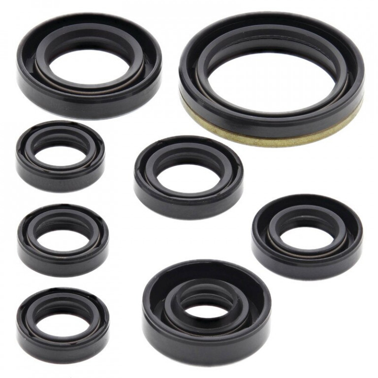 Engine Oil Seal Kit WINDEROSA 822175