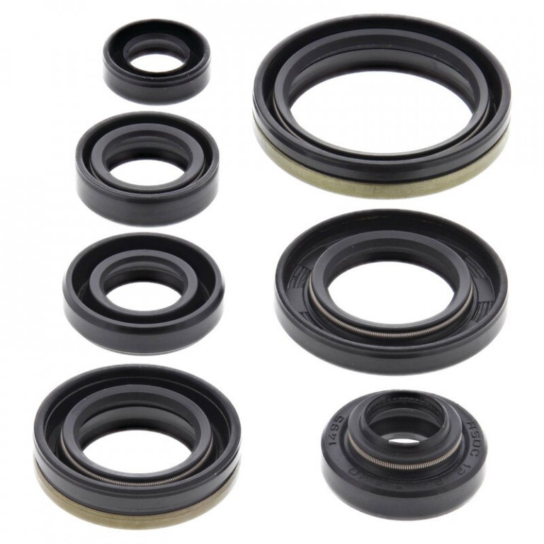Engine Oil Seal Kit WINDEROSA 822176