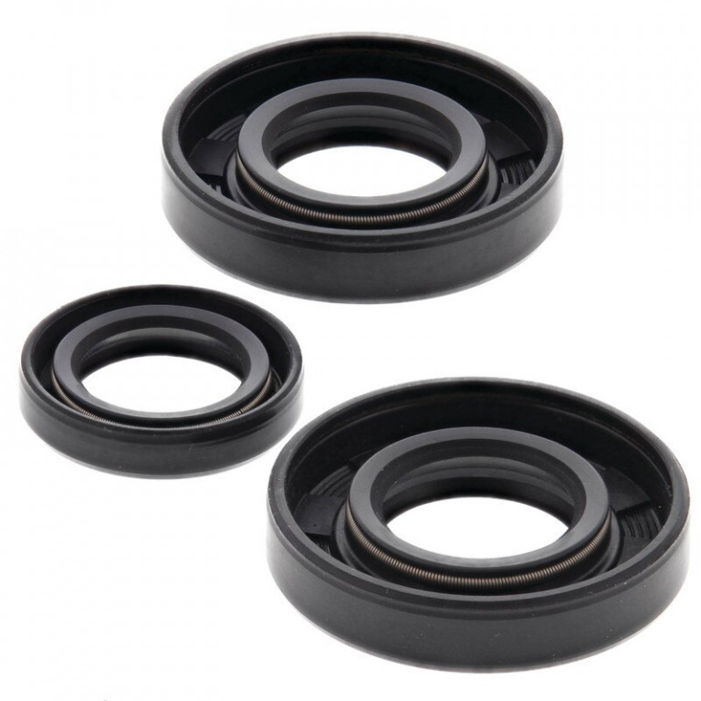 Engine Oil Seal Kit WINDEROSA 822184