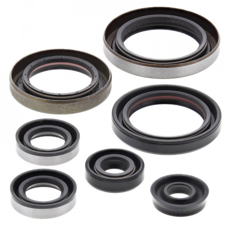Engine Oil Seal Kit WINDEROSA 822186