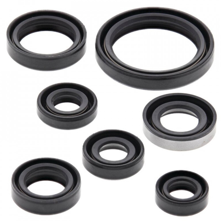 Engine Oil Seal Kit WINDEROSA 822193
