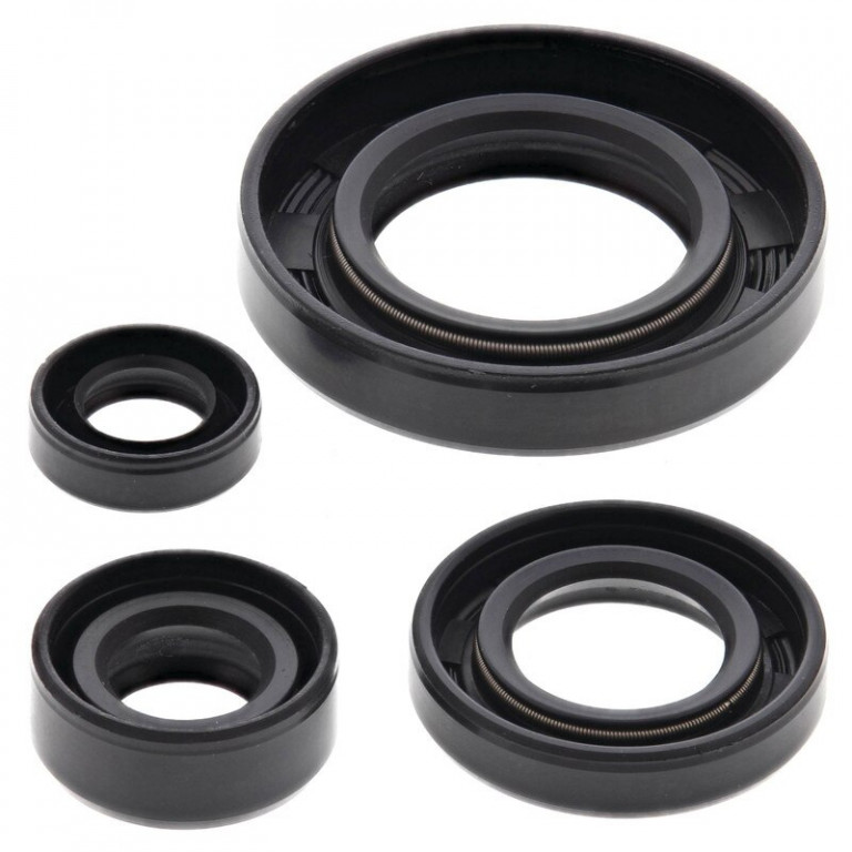 Engine Oil Seal Kit WINDEROSA 822195