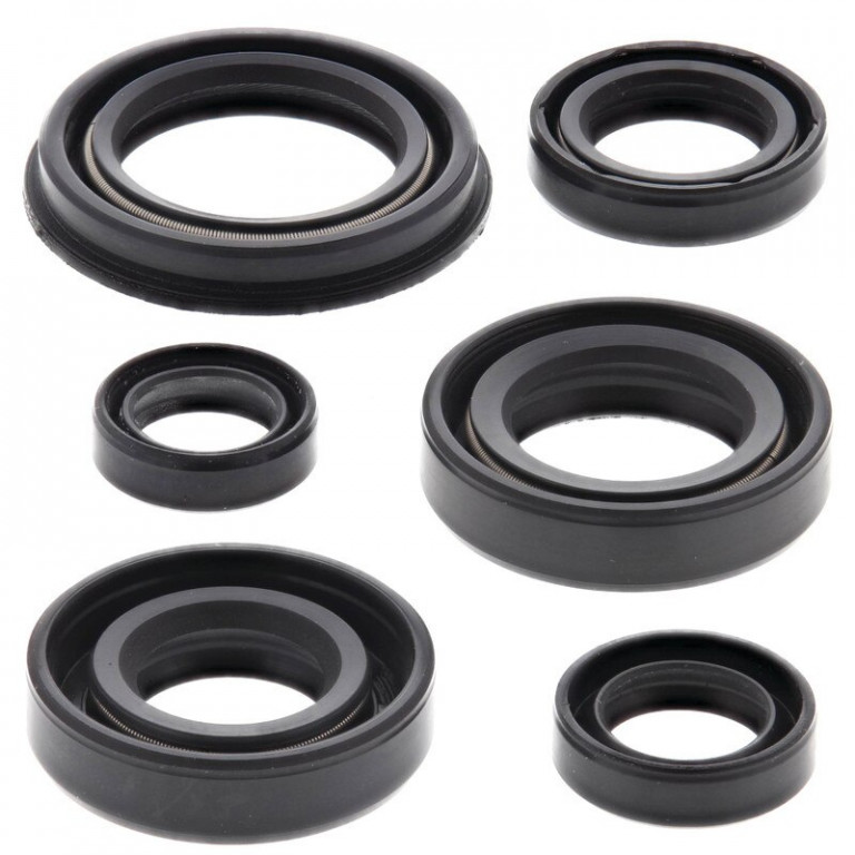 Engine Oil Seal Kit WINDEROSA 822220