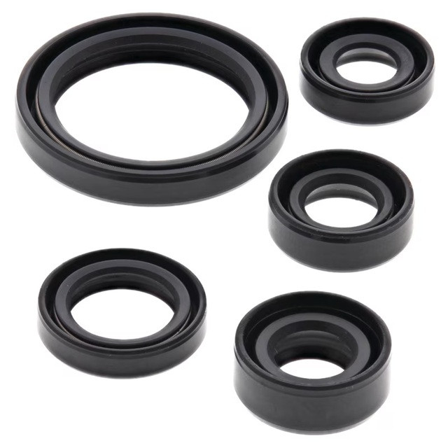 Engine Oil Seal Kit WINDEROSA 822226