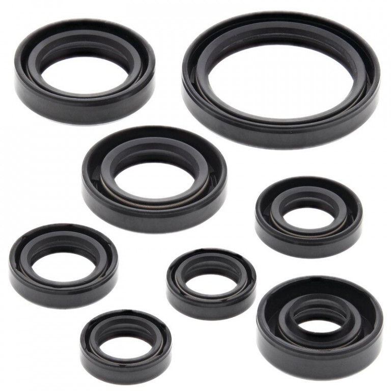 Engine Oil Seal Kit WINDEROSA 822228