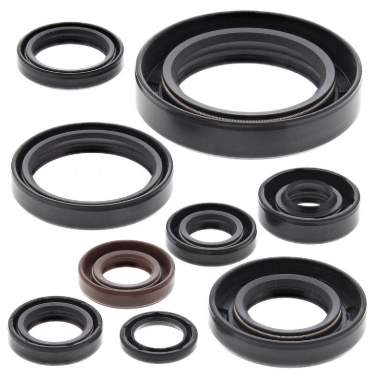 Engine Oil Seal Kit WINDEROSA 822268