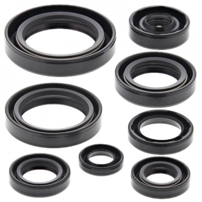 Engine Oil Seal Kit WINDEROSA 822283