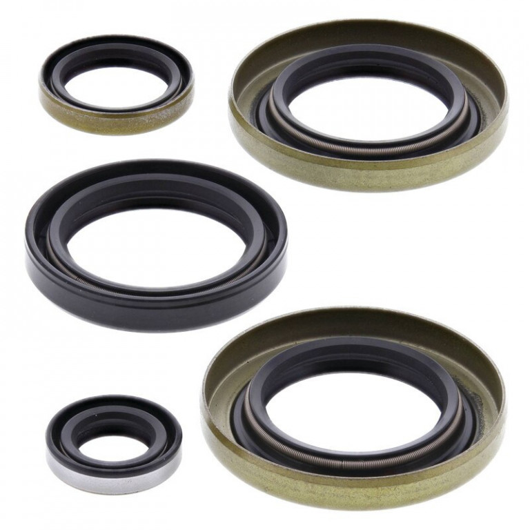Engine Oil Seal Kit WINDEROSA 822299