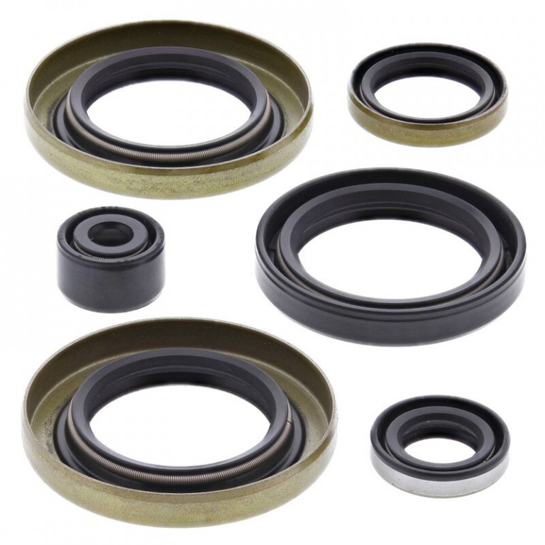 Engine Oil Seal Kit WINDEROSA 822300