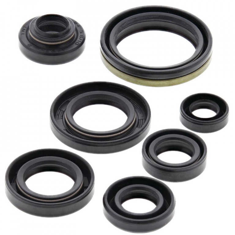 Engine Oil Seal Kit WINDEROSA 822305