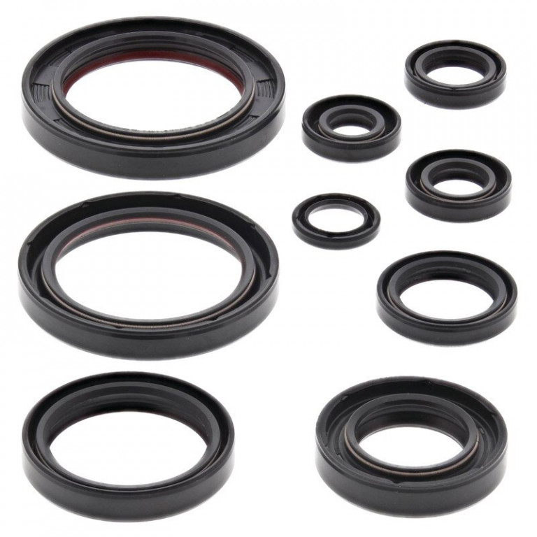 Engine Oil Seal Kit WINDEROSA 822352