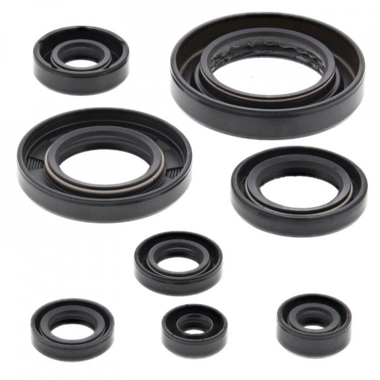 Engine Oil Seal Kit WINDEROSA 822354