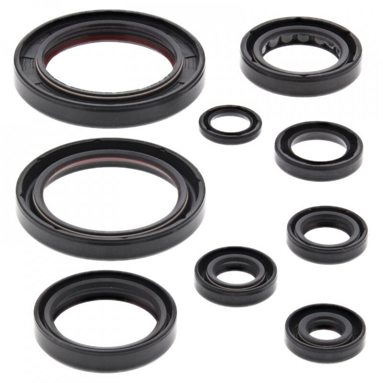 Engine Oil Seal Kit WINDEROSA 822357