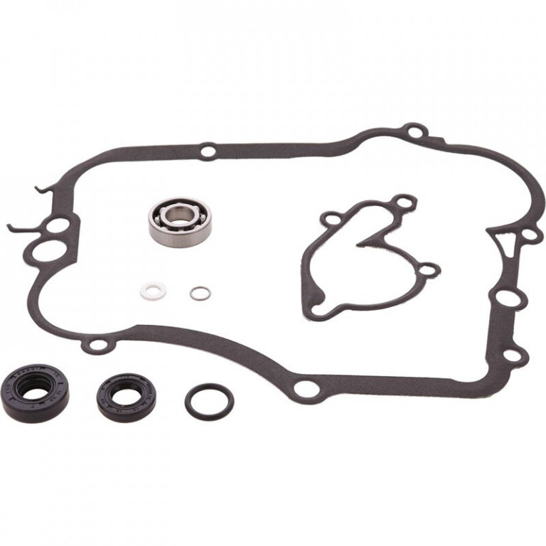 Water Pump Rebuild Kit WINDEROSA 8210008