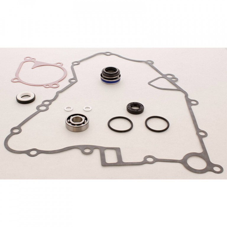 Water Pump Rebuild Kit WINDEROSA 821883