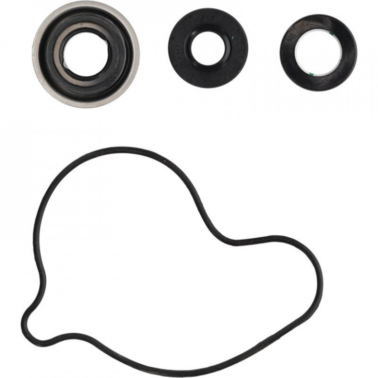 Water Pump Rebuild Kit WINDEROSA 821999