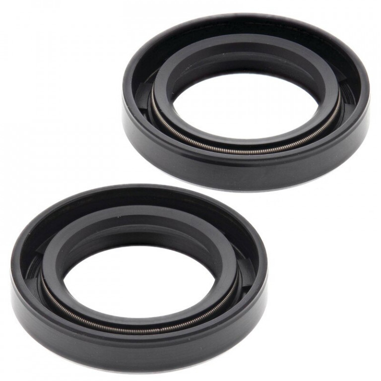 Oil seal set WINDEROSA 622100