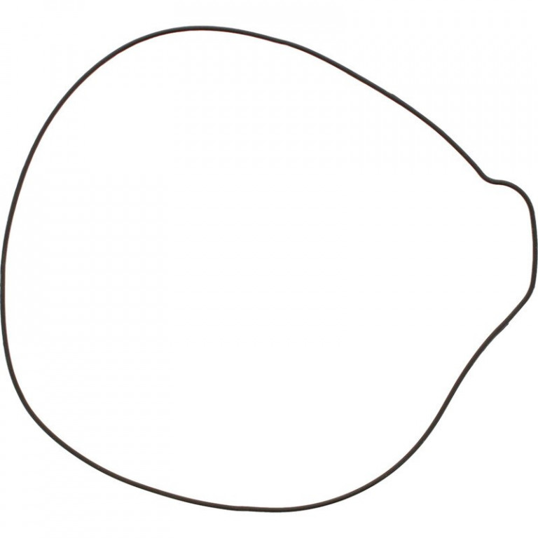 Clutch cover gasket WINDEROSA 333004 outer side