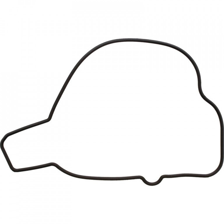 Ignition Cover Gasket WINDEROSA 819210
