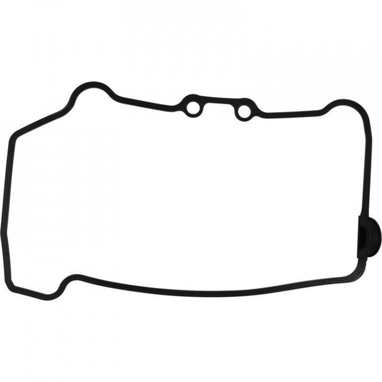 Valve Cover Gasket WINDEROSA 819203