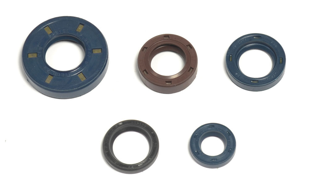 Set dihtunga za ulje za motor ATHENA P400220400262