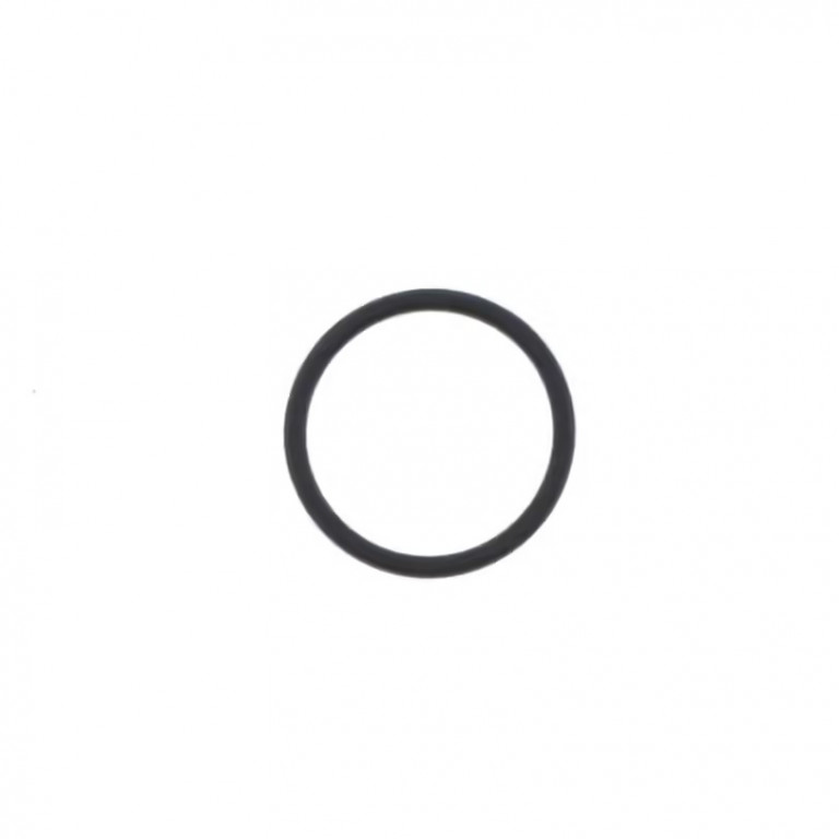 Intake O-Ring ATHENA M752403160004