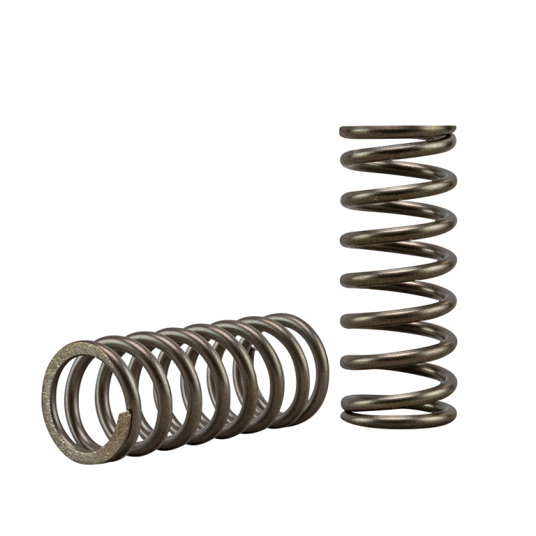 Clutch spring kit EBC CSK276