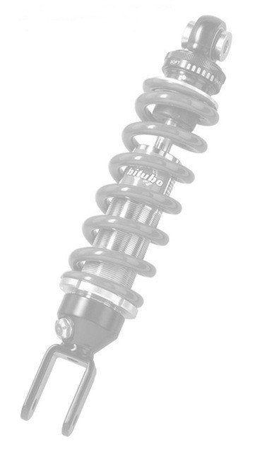 Monoshock BITUBO WZE0 adjustable: spring preload, rebound black spring