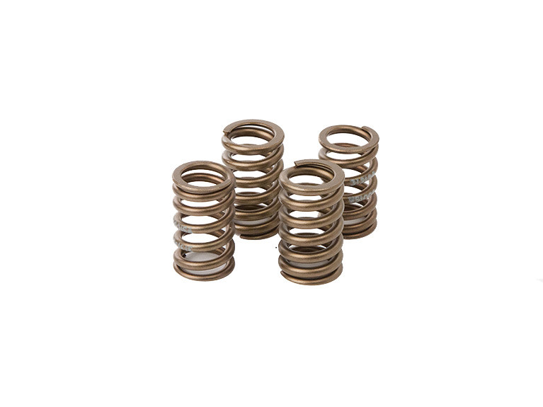 Valve spring kit HOT CAMS VSK4001