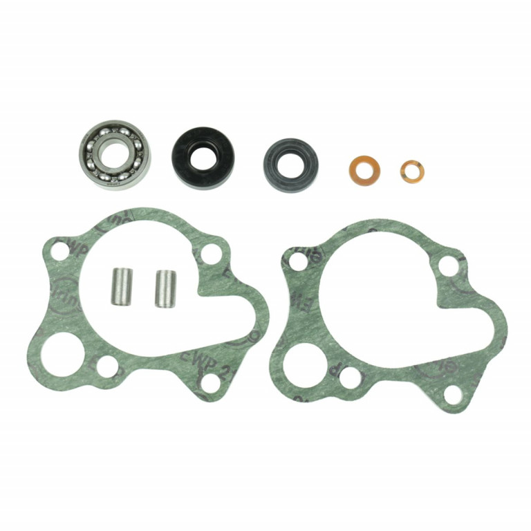 Set za popravak vodene pumpe ATHENA P400210348124 with bearings