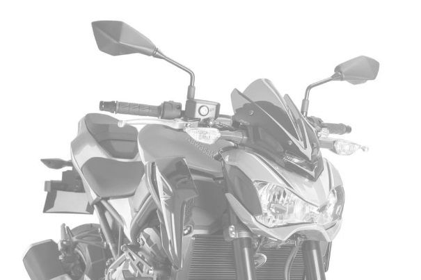 Windshield PUIG NEW GEN. SPORT 9689C carbon look