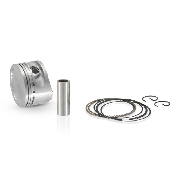 Klip set Evok 100091050