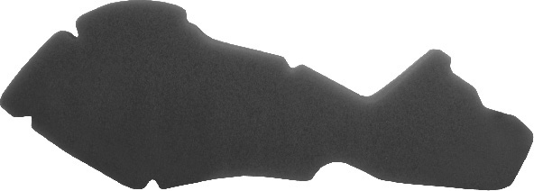Filter zraka NYPSO 100600481 for PIAGGIO/VESPA Quartz 50 1992-1996