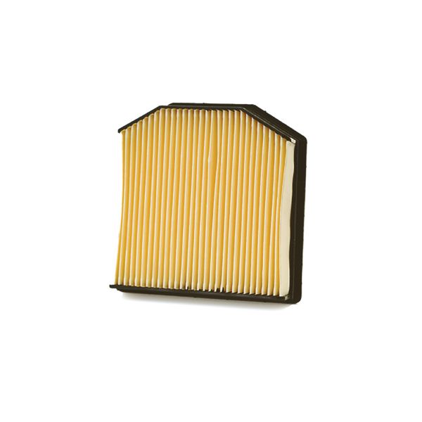 Filter zraka CHAMPION CAF9006 100606205