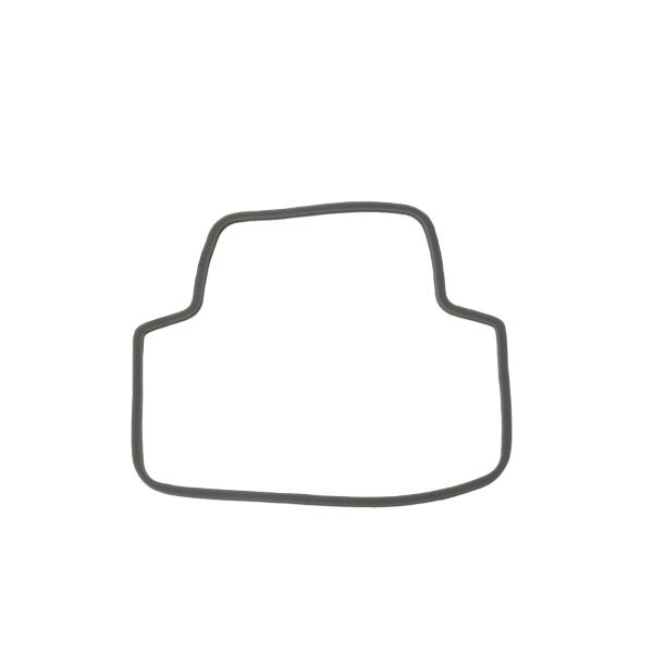 Rear light internal gasket SIEM 246420133