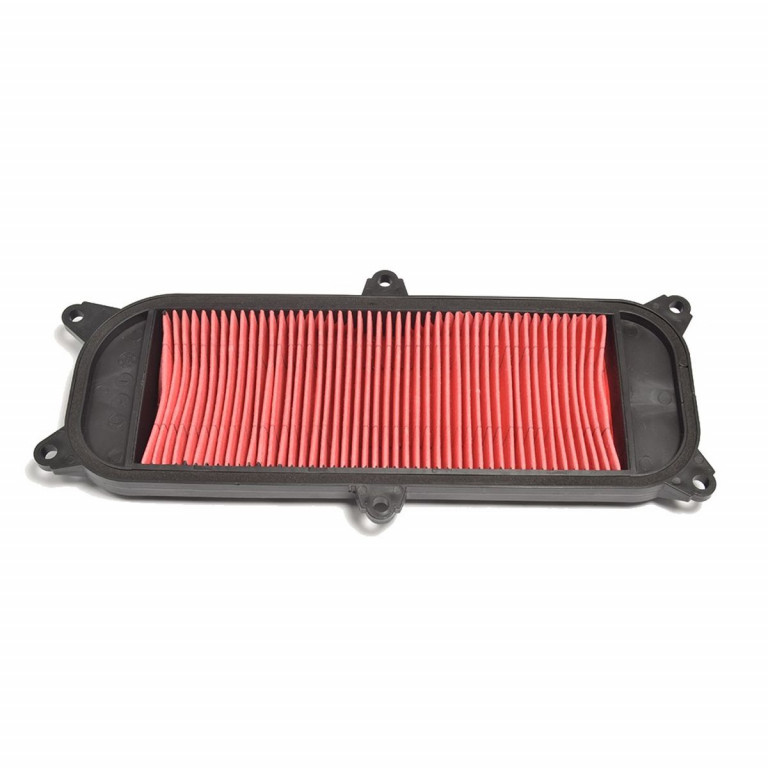 Filter zraka ATHENA S410210200078 for KYMCO People 250 / S 2006-2007