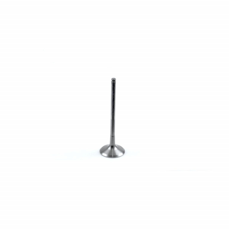 Inlet valve AOKI 01870